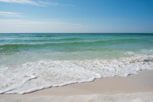 Sand Dollar W-101