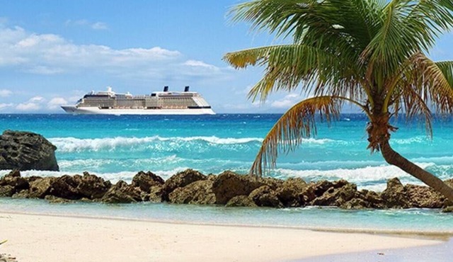 Seahorse- Going on a CRUISE! Steps to BEACH/PIER