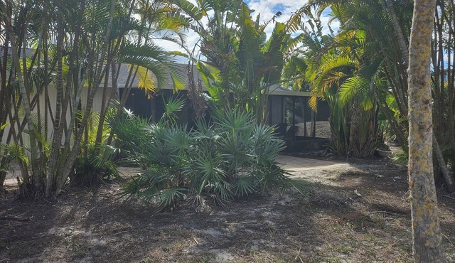 Secluded 2-bedroom Island charming Palm Tree Bokeelia house w/Golf Cart, Canoe