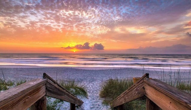 Serene Mins 2 Sand Beach Mayo Clinic Everbank