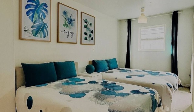South Beach, No Car Needed, Apt with balcony walk to the beach and Lincoln Road
