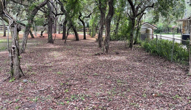 Spacious 4-bedroom farmhouse in tranquil New Port Richey Peaceful & Private
