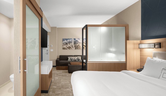 SpringHill Suites by Marriott Jackson in Jackson