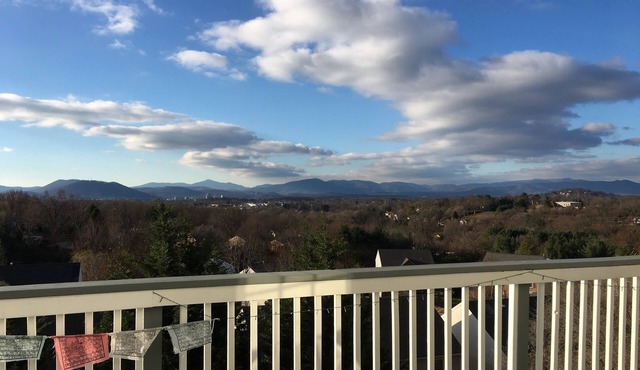 Studio Apartment, King Bed, Stunning View & Sauna in Roanoke