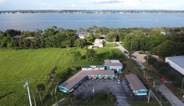 The Bonsai in Rockledge