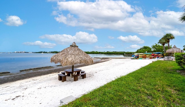 Upscale Condo, Private beach, overlooking ocean, has pool, Gated community