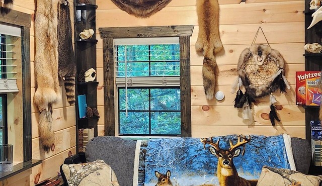 Whippoorwill off grid hike in tiny cabin retreat in tranquil Long Bottom getaway in Long Bottom
