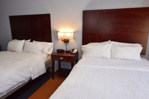 Hampton Inn Alexander City 