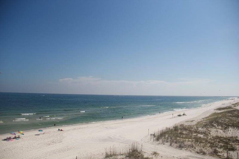 Photo of Others in Orange Beach East