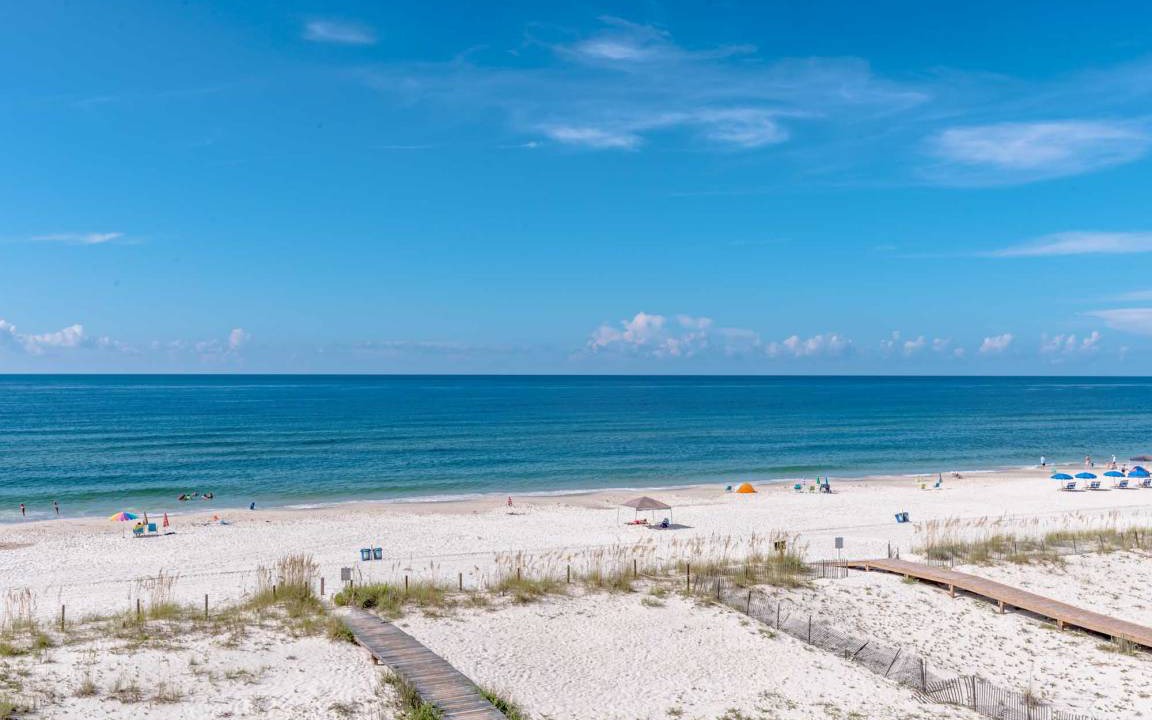 Photo of Others in Gulf Shores
