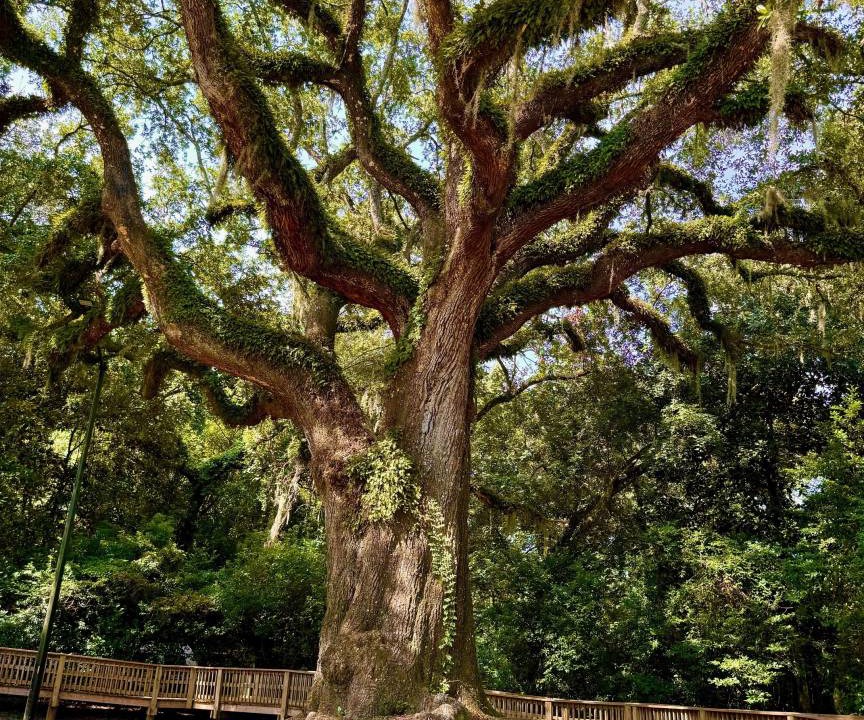 Photo of Others in Daphne