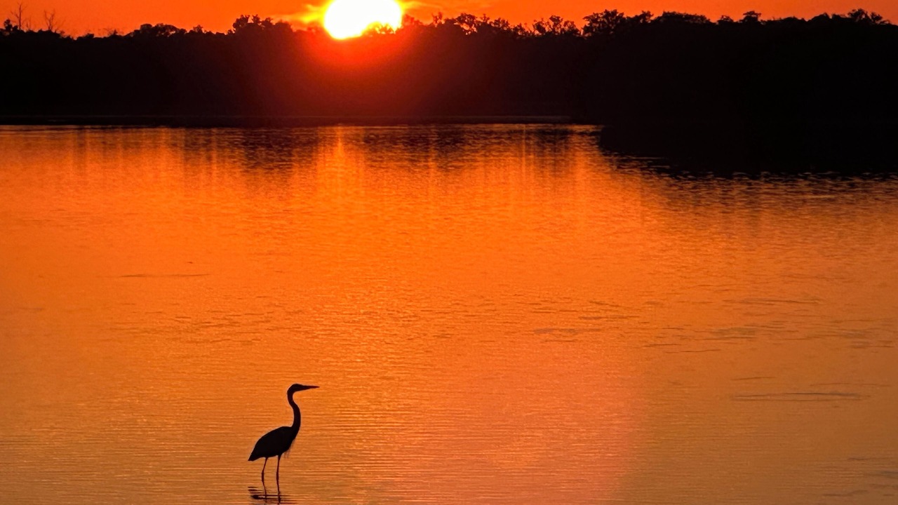 Photo of Others in Crystal River