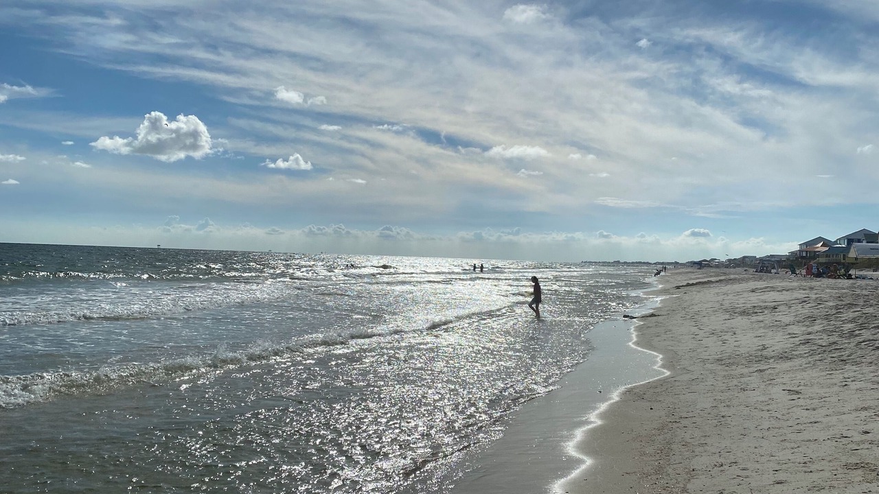 Photo of Others in Surf Side Shores
