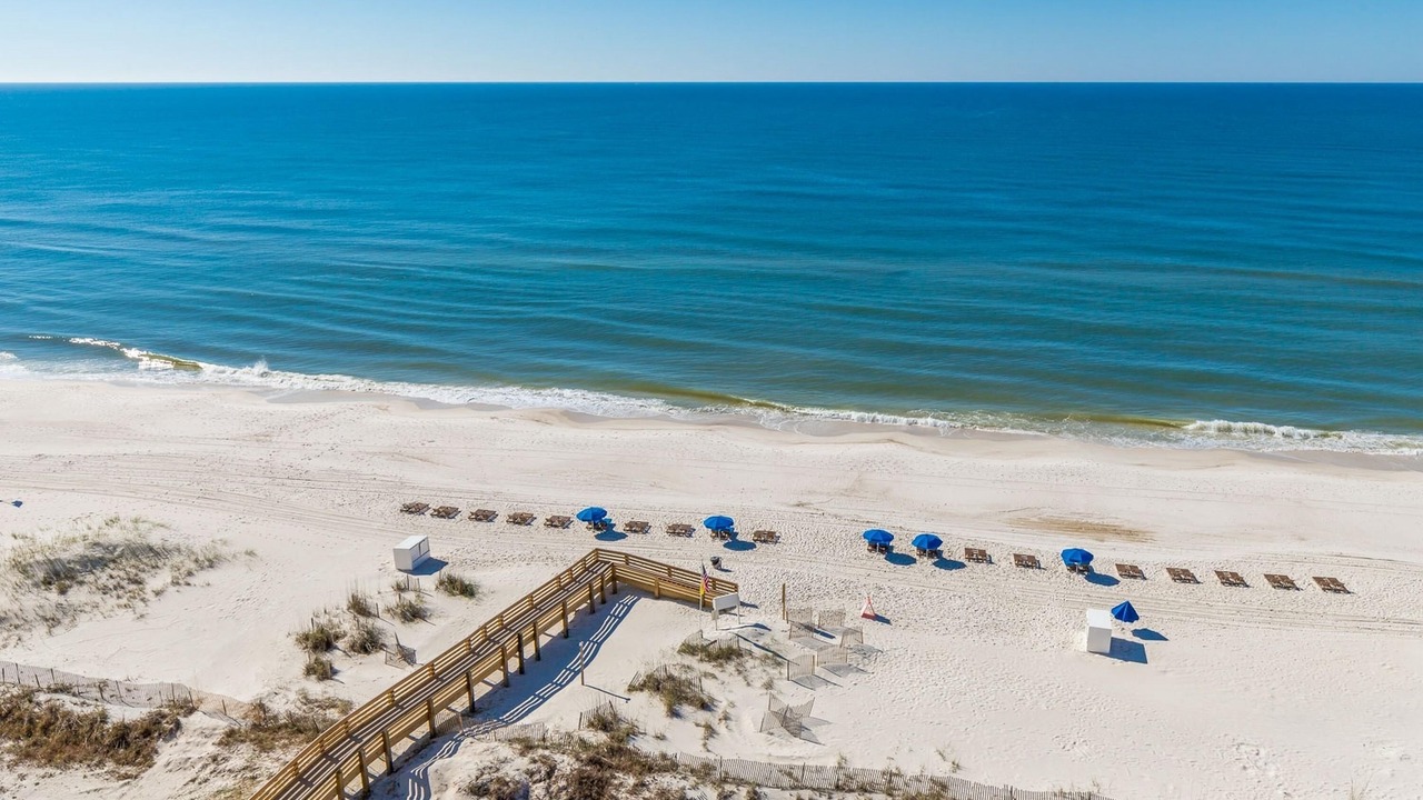 Photo of Others in Orange Beach East