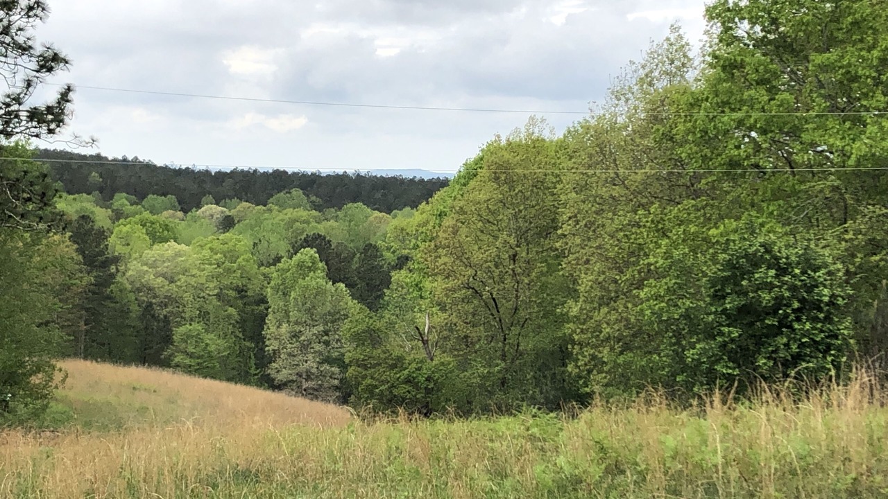 Photo of Outdoor in Muscadine