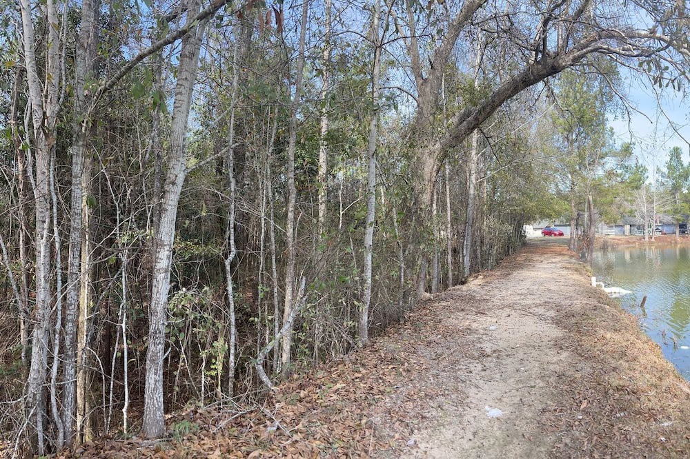 Photo of Outdoor in Phenix City