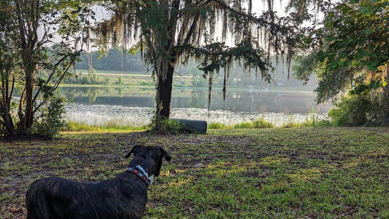 Photo of Outdoor in Edgar