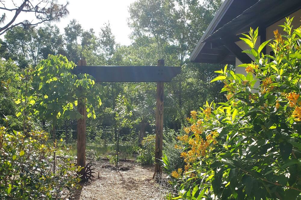 Photo of Outdoor in Bellview
