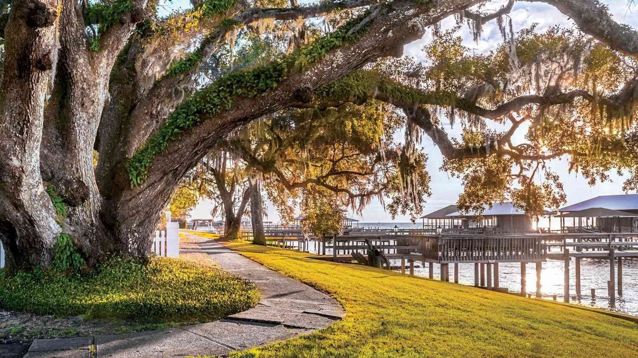 Photo of Outdoor in Fairhope