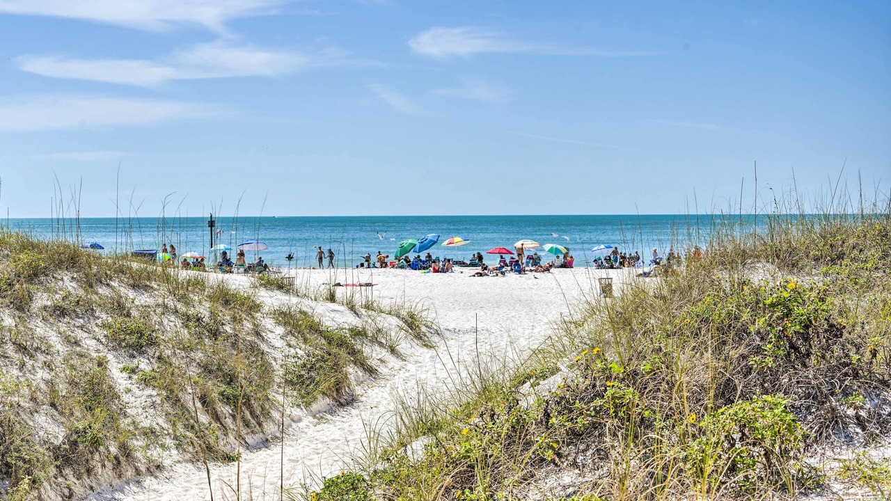 Photo of Others in Clearwater Beach
