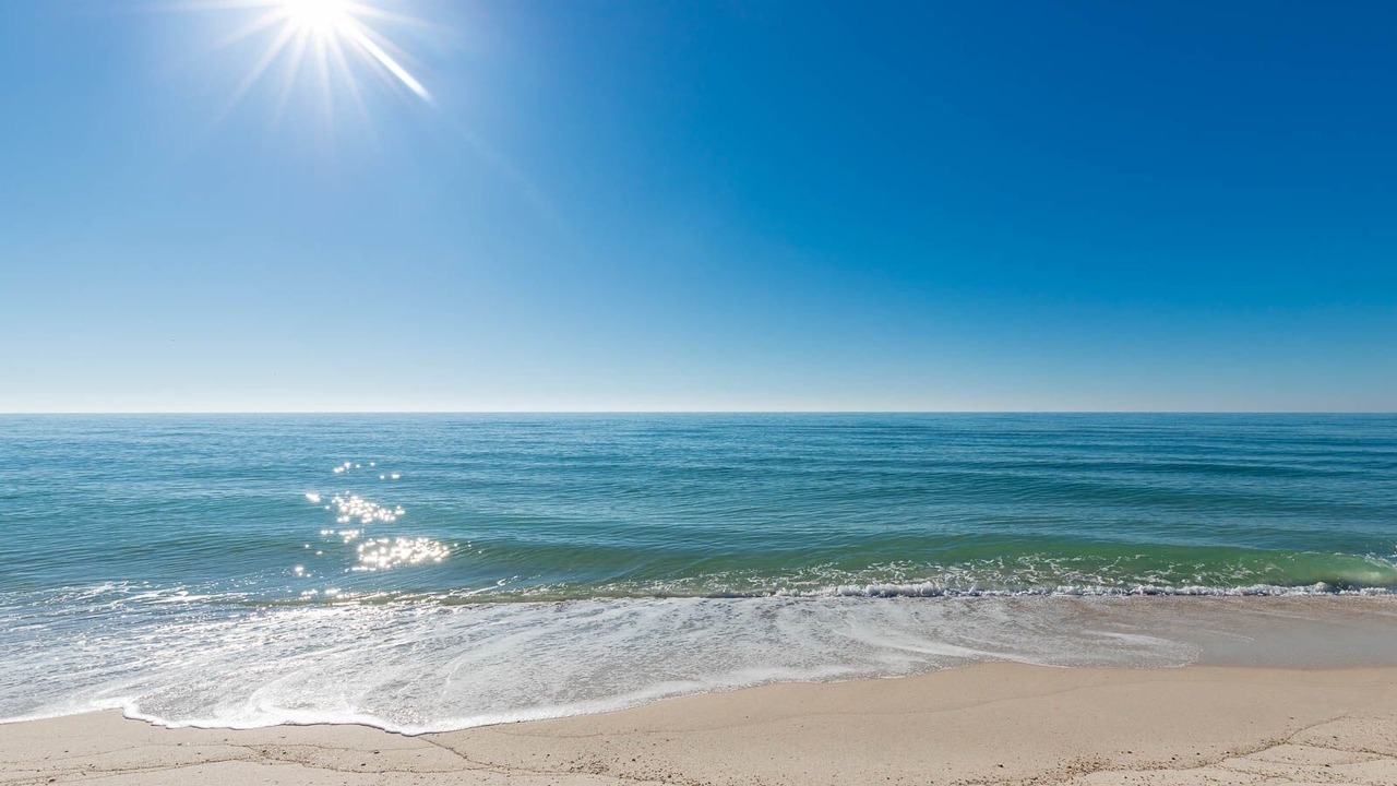 Photo of Others in Orange Beach East