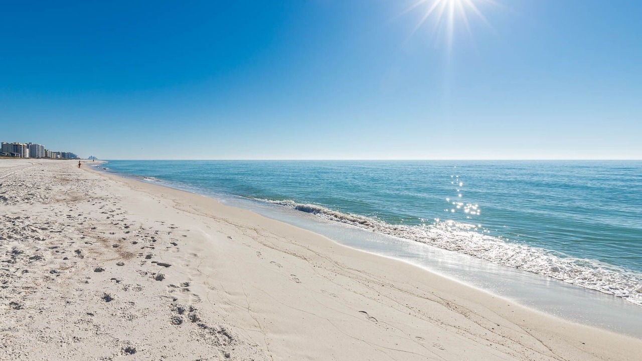 Photo of Others in Orange Beach East