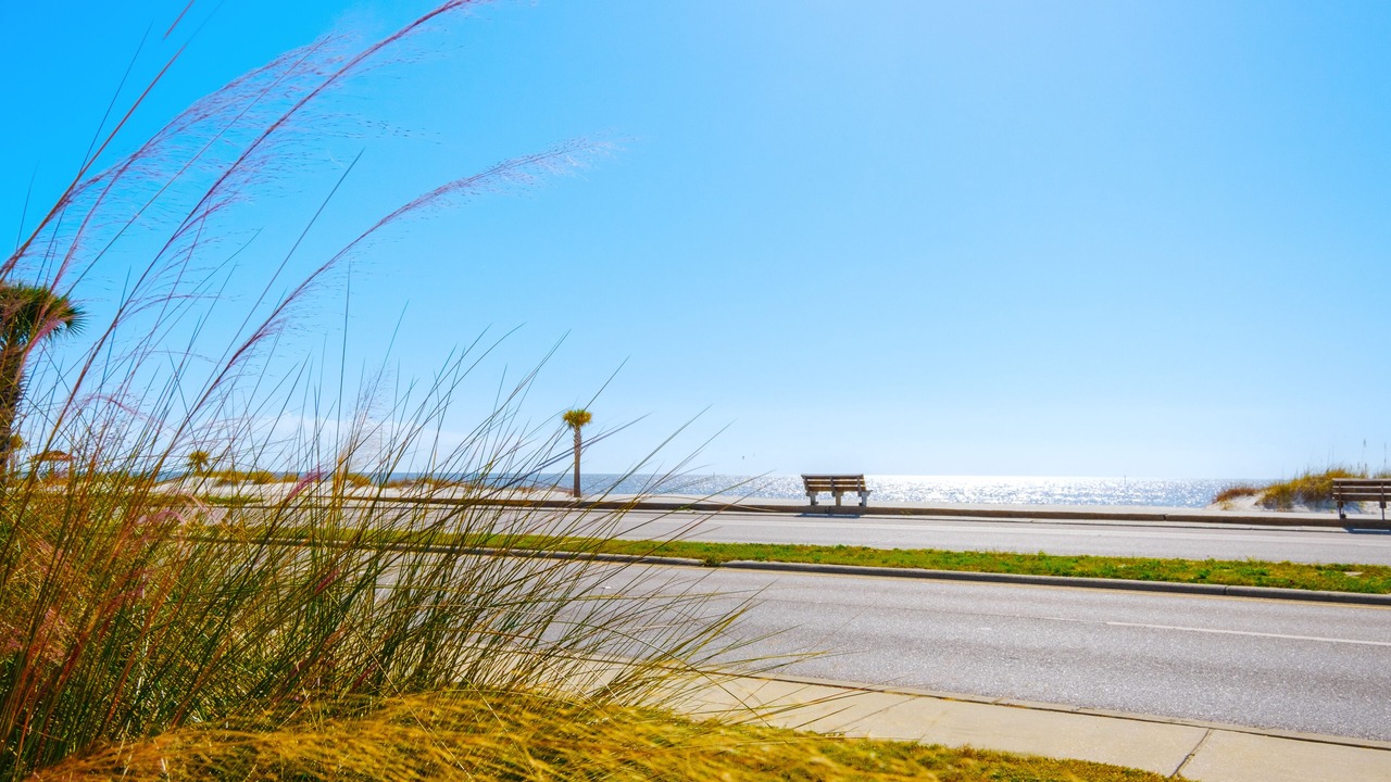 Photo of Others in Gulfport