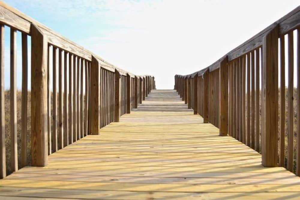 Photo of Outdoor in Dauphin Island