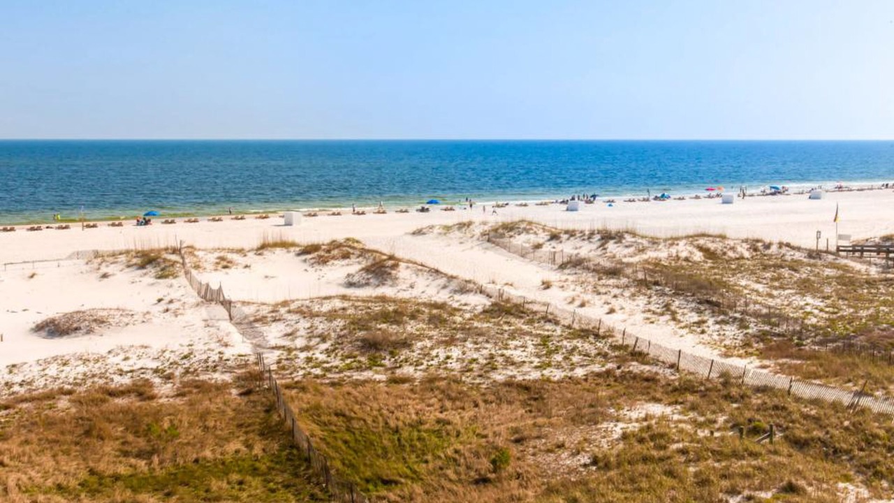 Photo of Others in Orange Beach