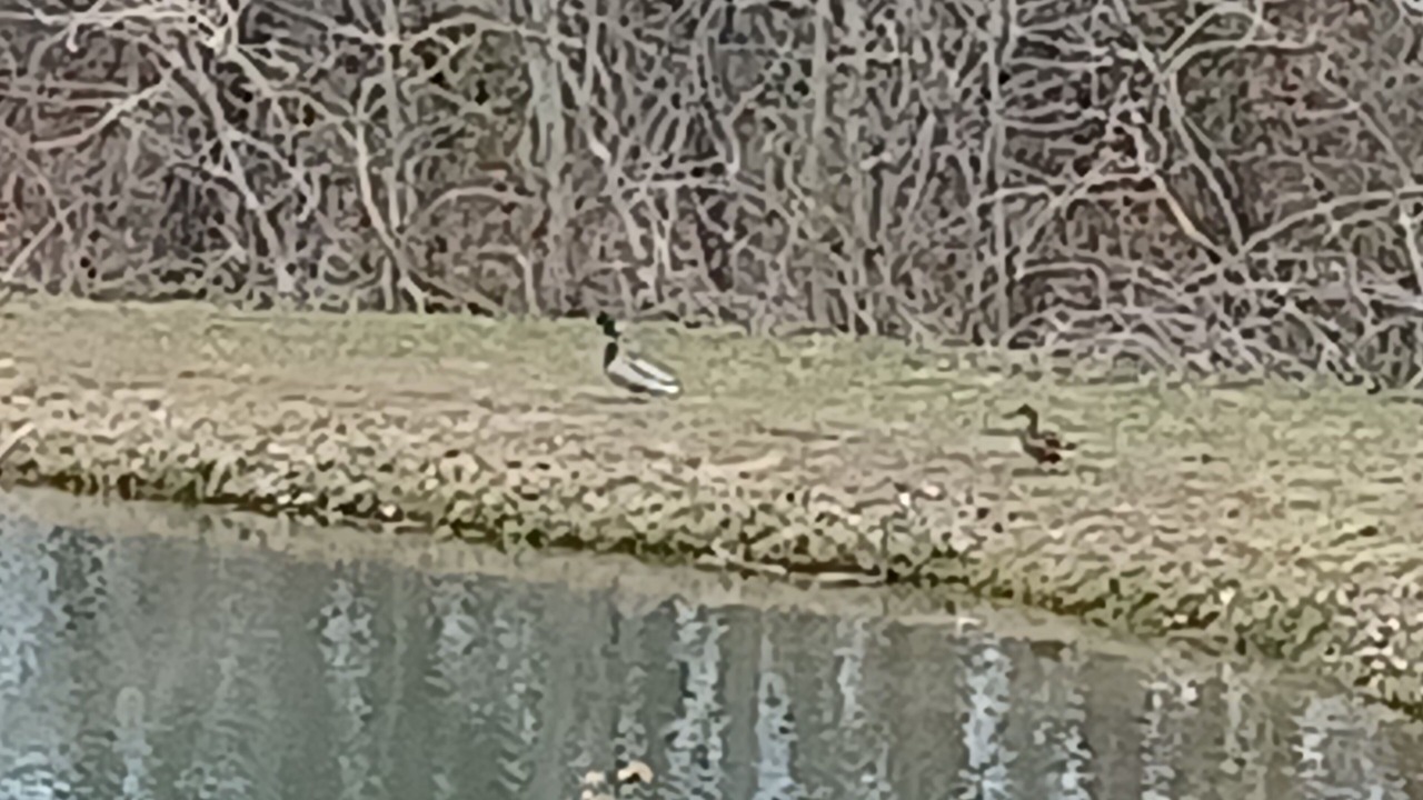 Photo of Others in Bryant