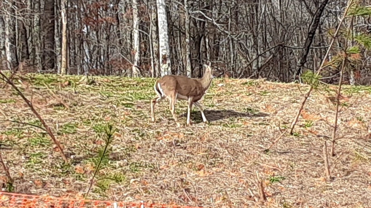 Photo of Outdoor in Bryant