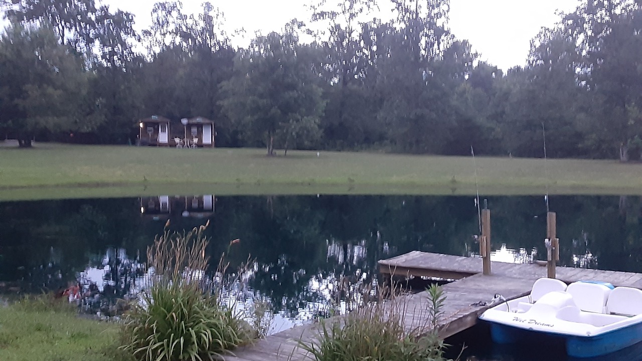Photo of Outdoor in Bryant