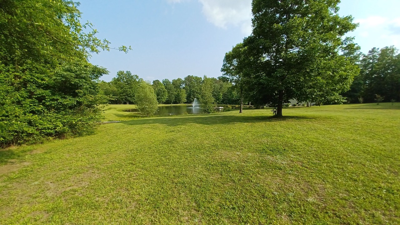 Photo of Others in Bryant