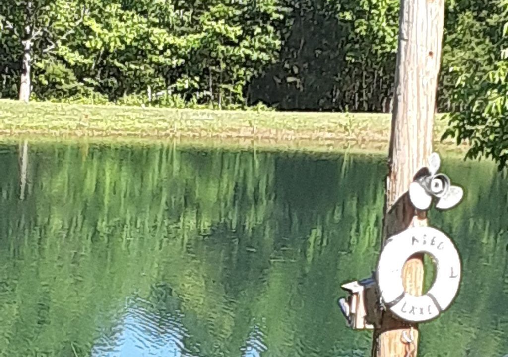 Photo of Outdoor in Bryant