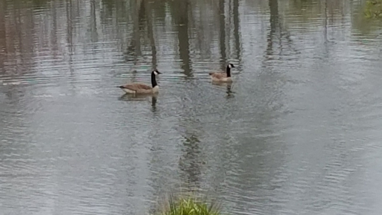 Photo of Others in Bryant