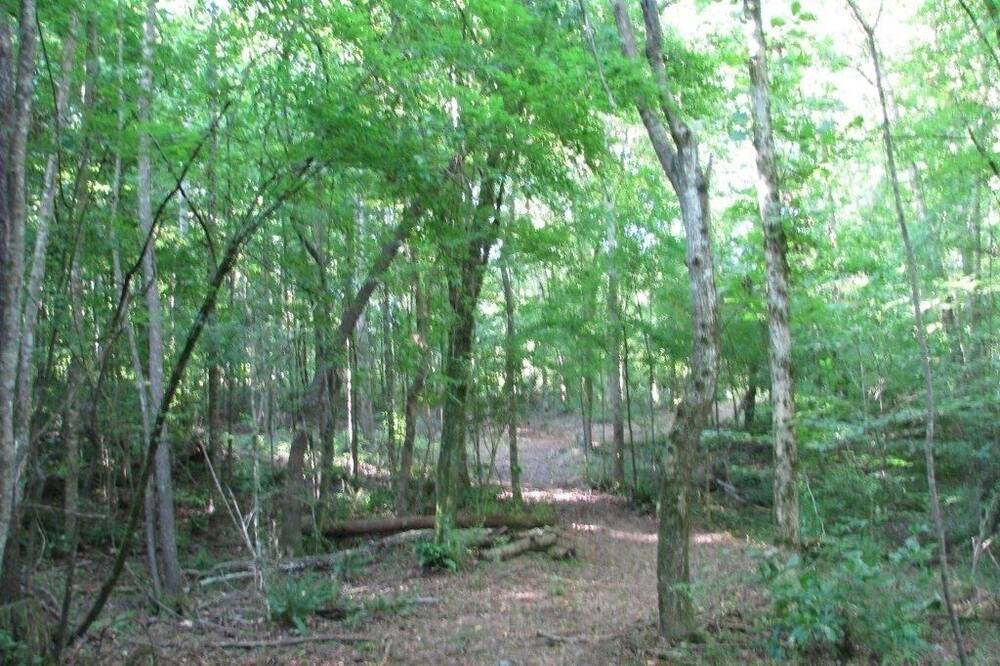Photo of Outdoor in Gloster
