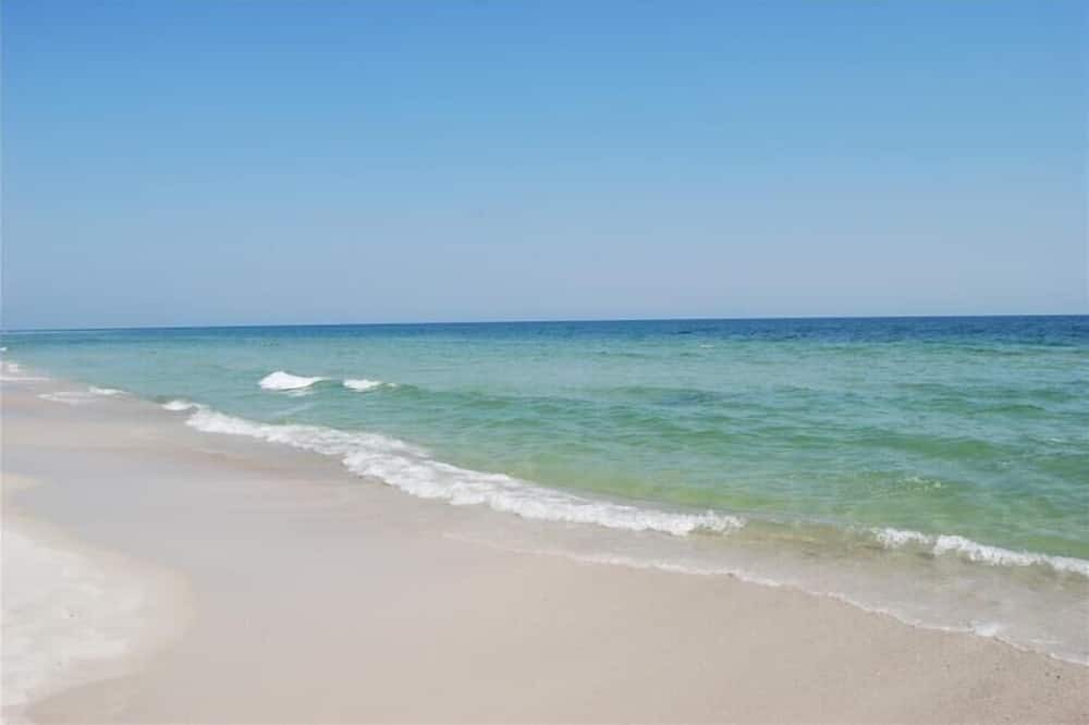 Photo of Others in Fort Morgan Pines