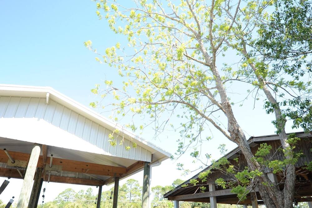 Photo of Outdoor in Suwannee