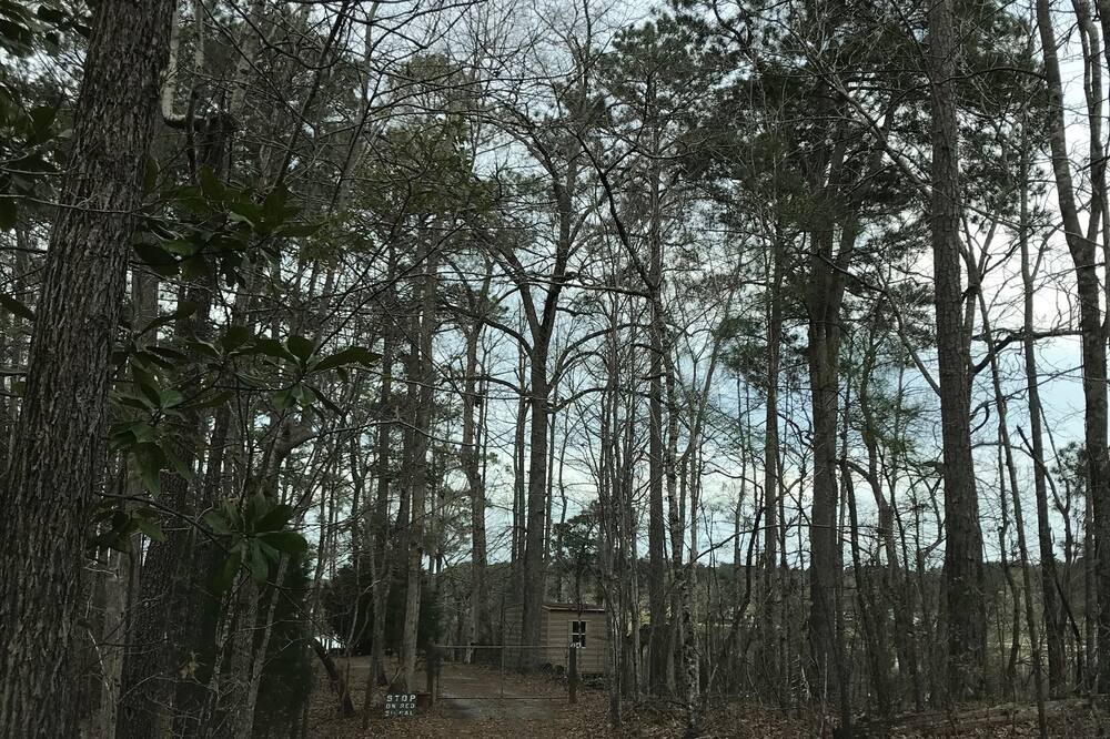 Photo of Others in Jacksons' Gap