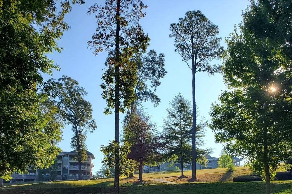 Photo of Others in Talladega