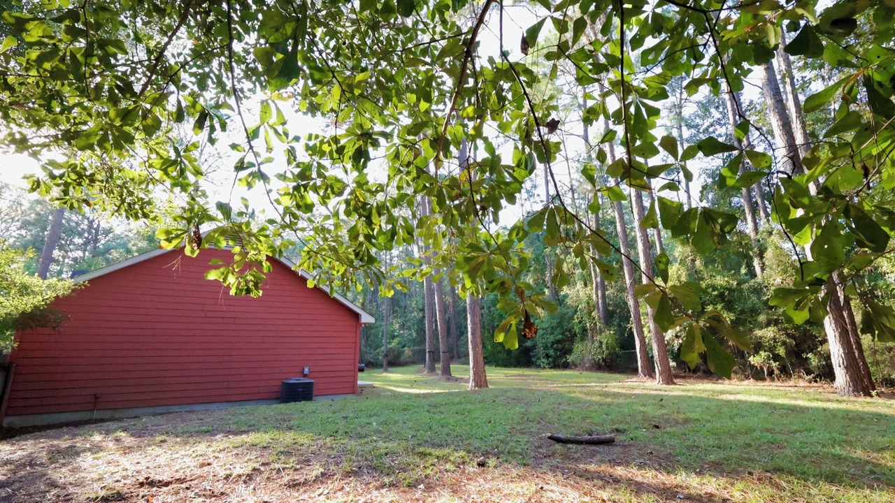 Photo of Outdoor in Theodore