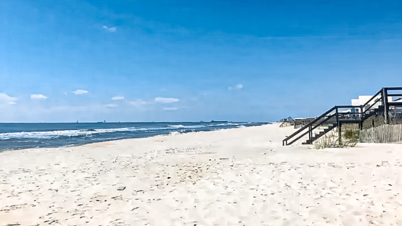 Photo of Others in Fort Morgan Pines