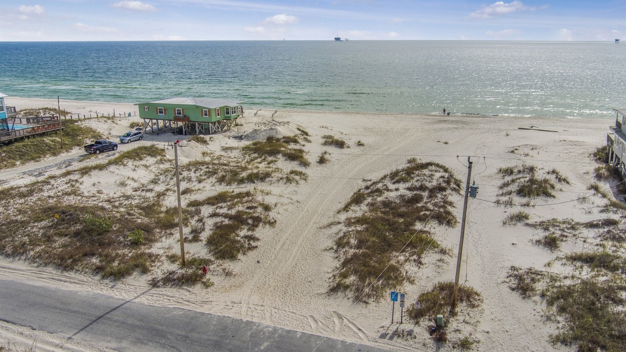 Photo of Others in Fort Morgan Pines