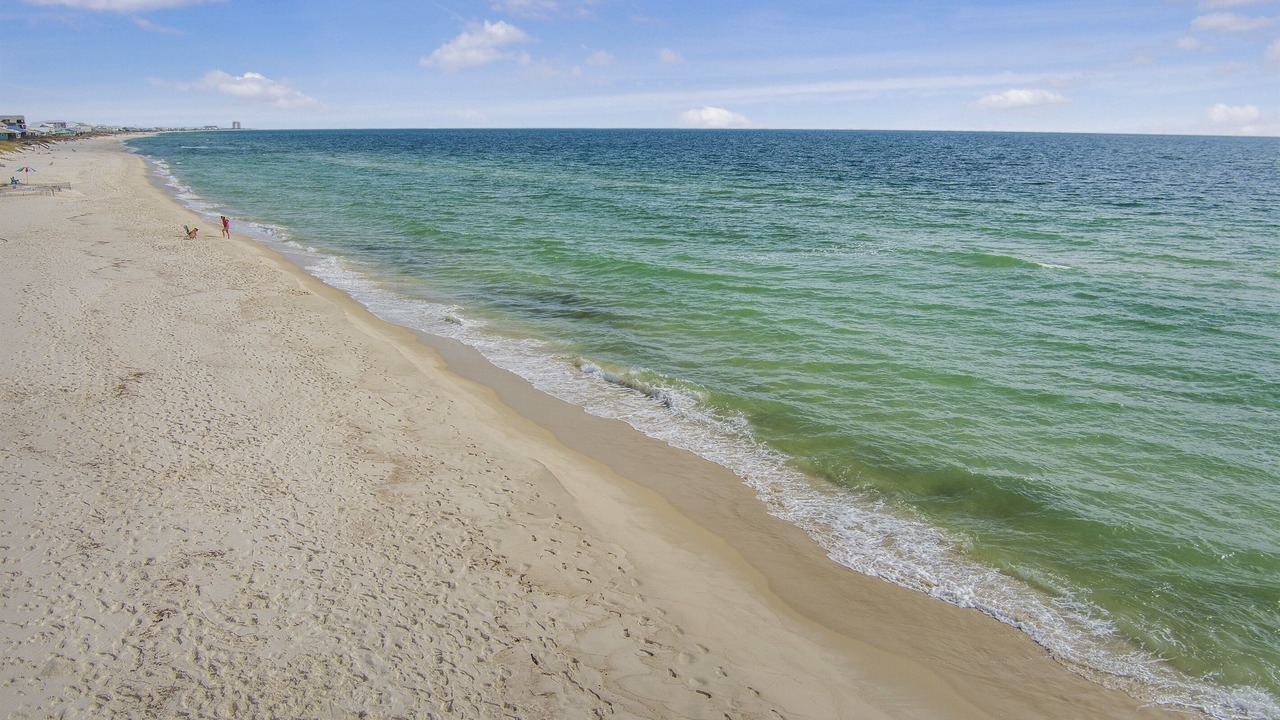 Photo of Others in Fort Morgan Pines