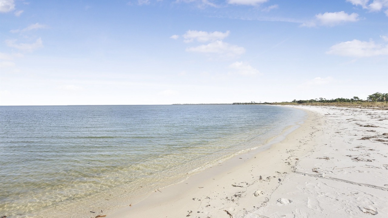 Photo of Others in Fort Morgan Pines