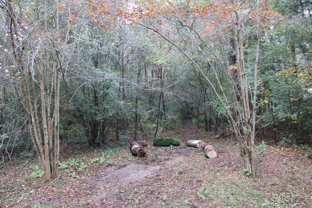 Photo of Outdoor in Mobile