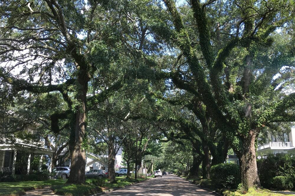 Photo of Outdoor in Mobile