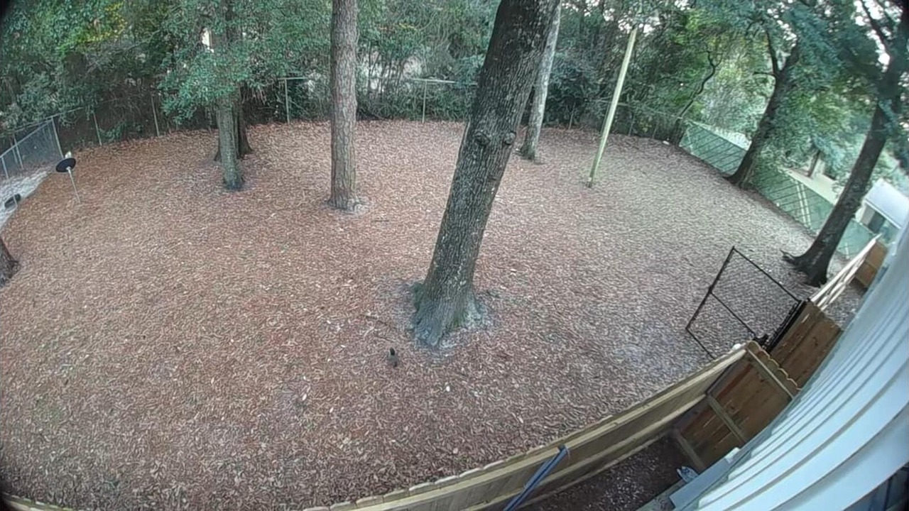 Photo of Others in Northeast Pensacola
