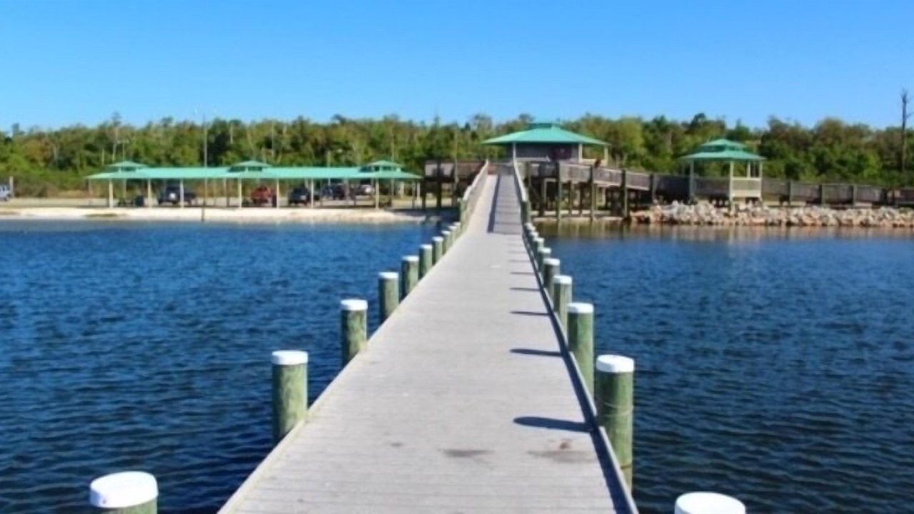 Photo of Others in Pensacola