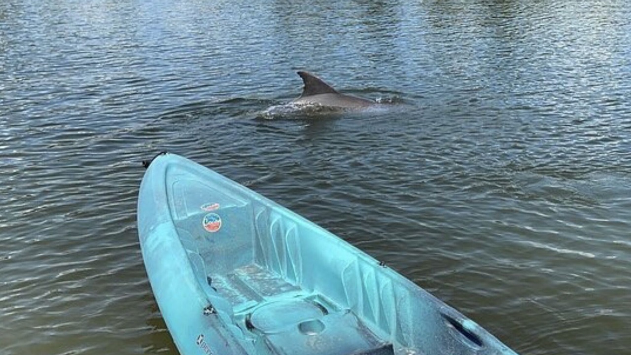 Photo of Outdoor in Cocoa Beach